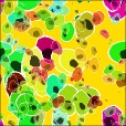 Variation 3