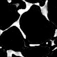 Ambient Occlusion Map