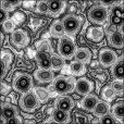 Ambient Occlusion Map