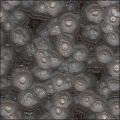 Stalagmite