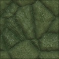 Croc