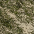 Mossy Rock Wall