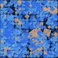 Variation 4
