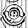 SNIPPET_EXP1
