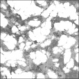 Spec Exponent Map