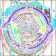 Variation 7