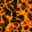 Diffuse Map