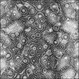 Ambient Occlusion Map