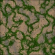 Diffuse Map
