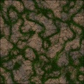 rockandgrass