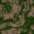 Variation 1