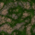 Variation 6