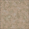 Rough Surfaces