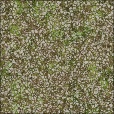 Diffuse Map