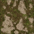 Variation 6