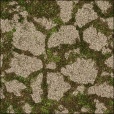 Variation 8