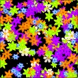 Variation 1