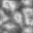 Bump Map