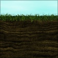 Diffuse Map