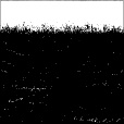 Reflective Occlusion Map