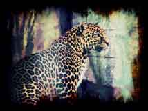 Big Beautiful Spotted Kitty by OnlyOneKenobi
