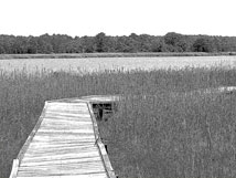 Wetlands Pier - Chesapeake Bay MD by JKJohnson