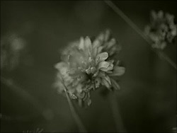Creating FotoFilter in Filter editor