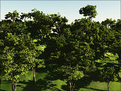 Grass texture, creating in Filter forge