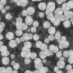 Image:Cells_profile_2.jpg