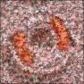 Maine Granite