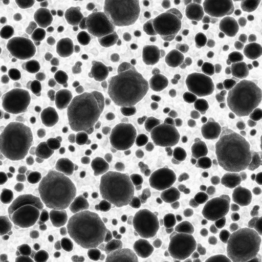 Ambient Occlusion Map