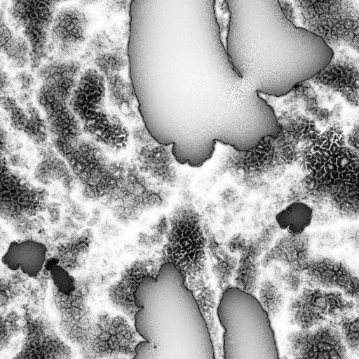 Ambient Occlusion Map