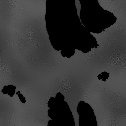 Bump Map