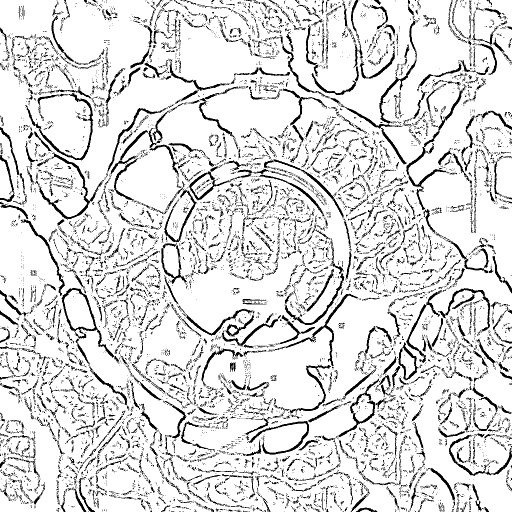 Variation 6