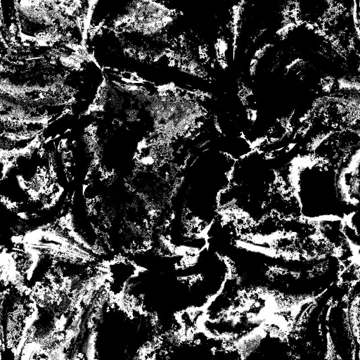 Variation 2