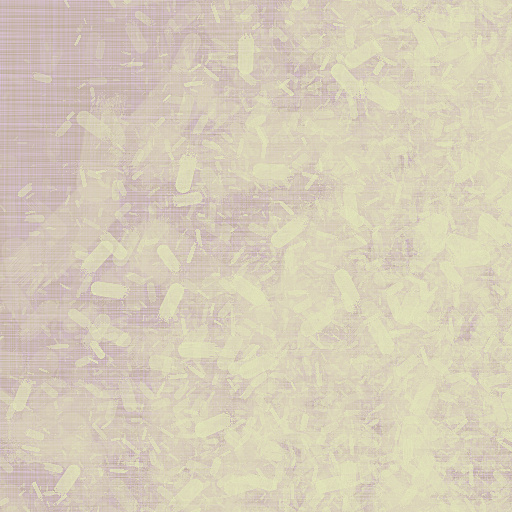 Variation 4