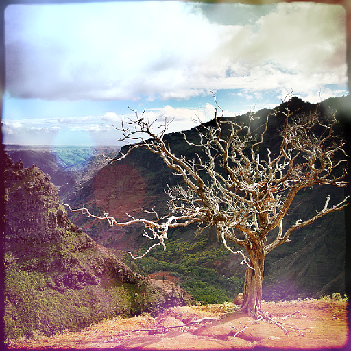 Variation 3