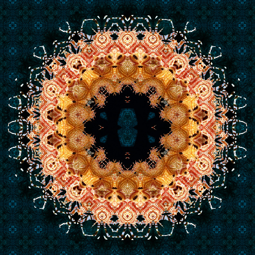 Variation 4