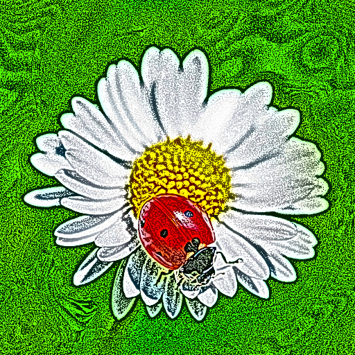 Variation 5