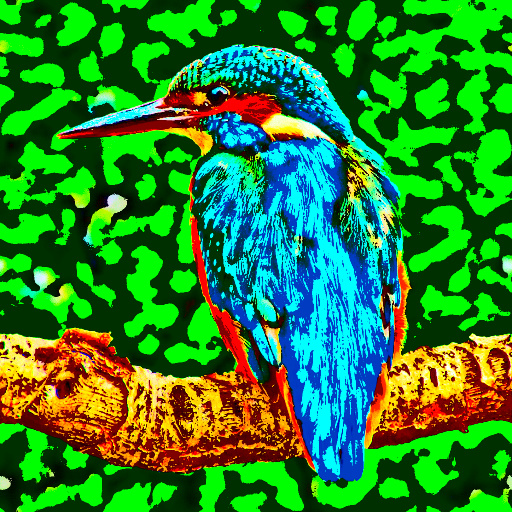 Variation 7