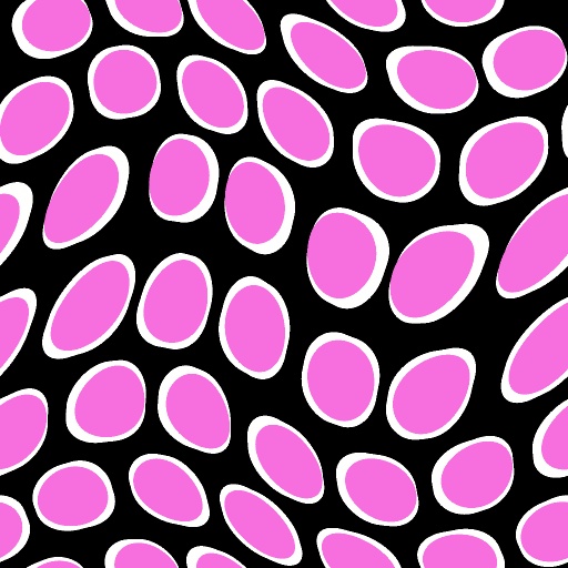 Variation 8