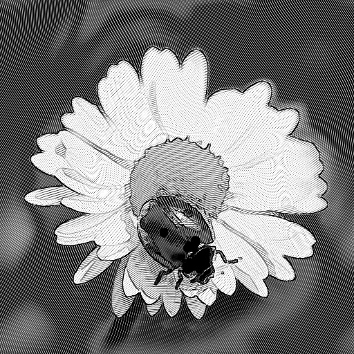 Variation 2