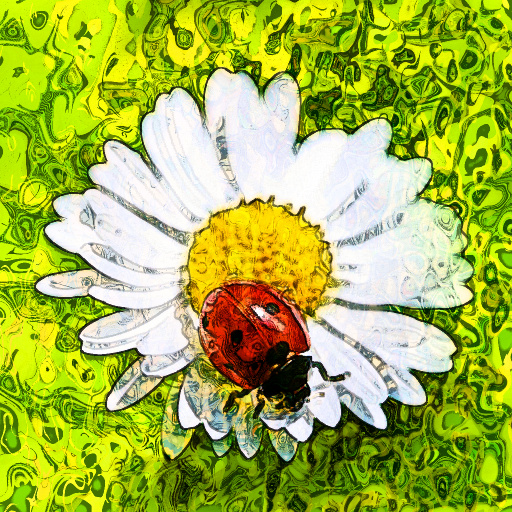 Variation 8