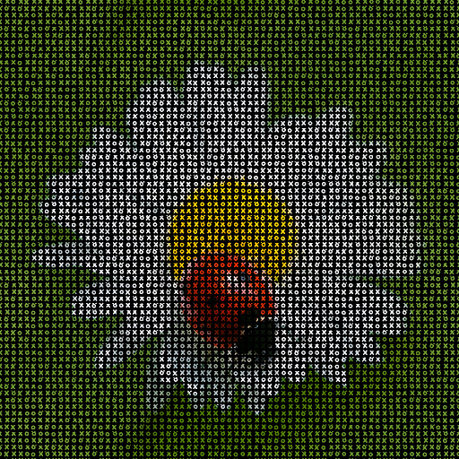Variation 8