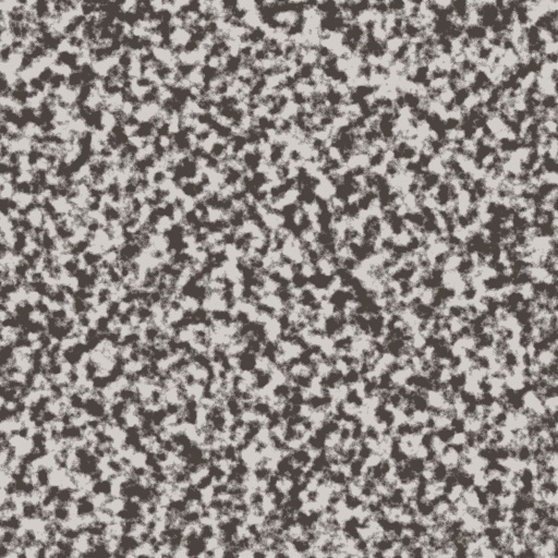 Diffuse Map