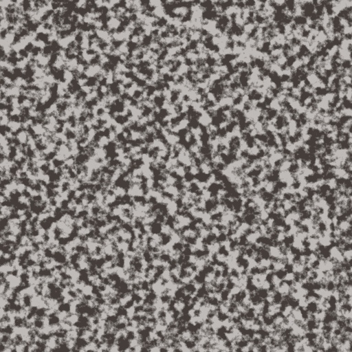 Granite (Texture)