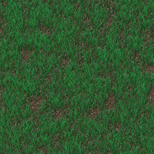 Variation 4