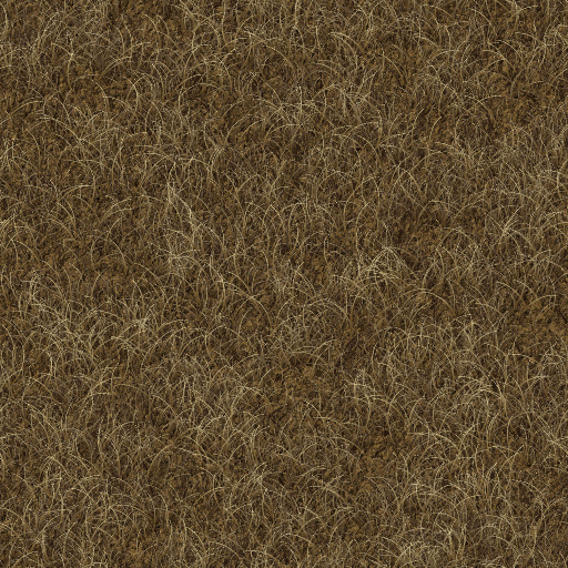 Variation 6