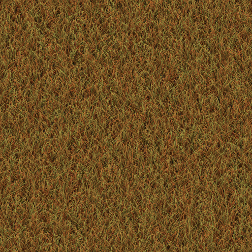 Variation 7