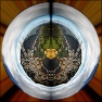 Polar Distort